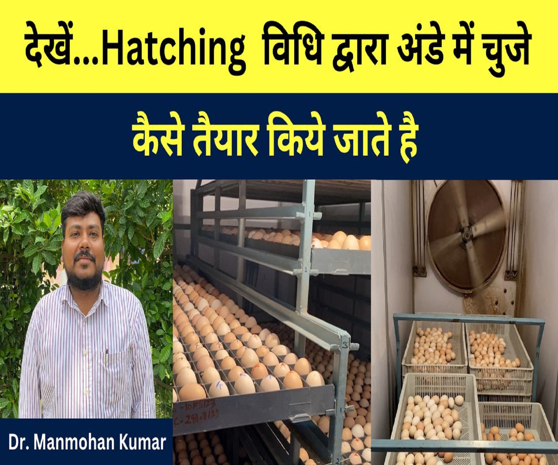 जाने Hatching विधि द्वारा अंडे से चूजे निकालने की बिधि  Dr Manmohan Kumar